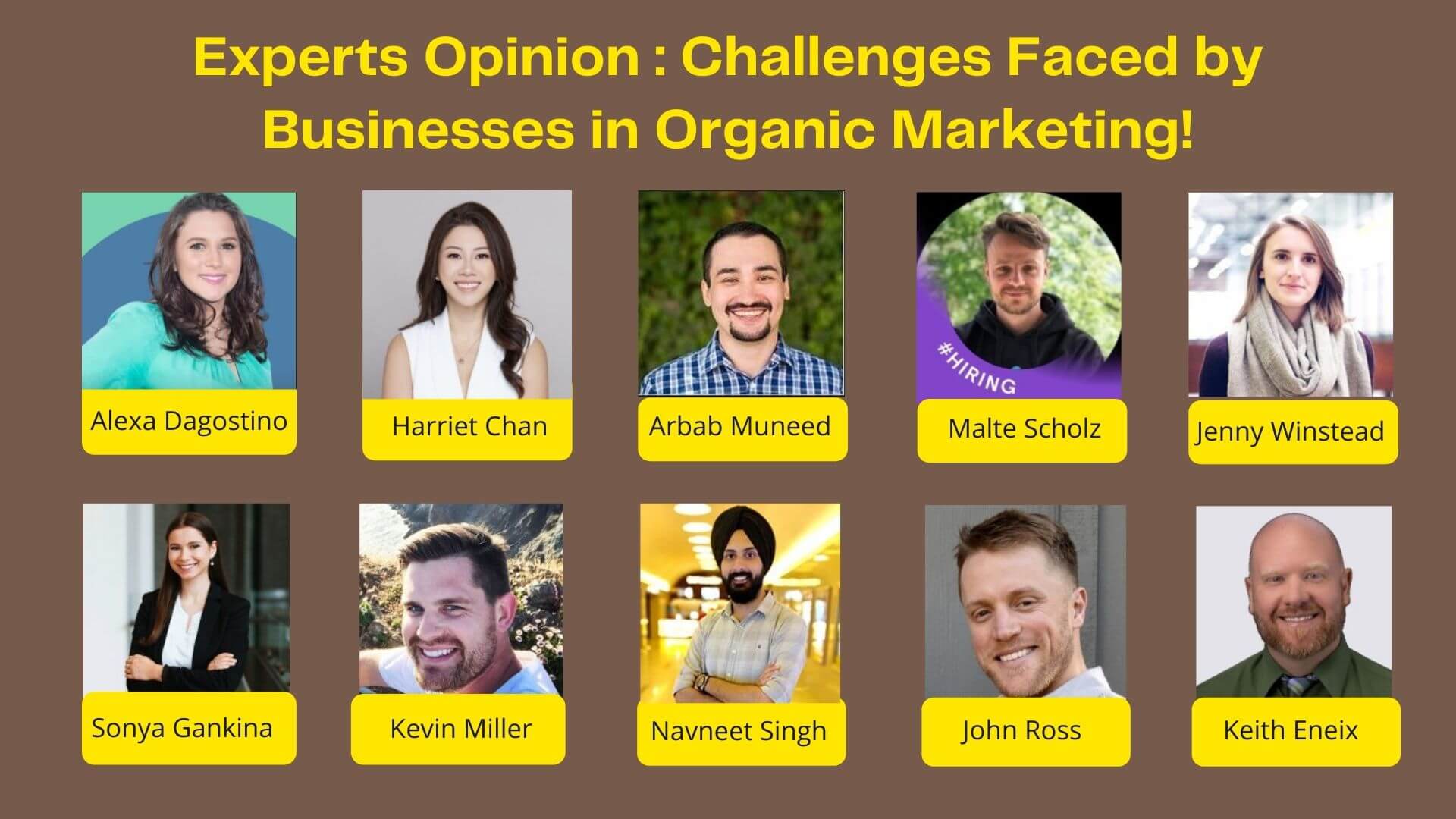 A Business Owners’ Guide to Astounding Outcomes with Organic Marketing!
