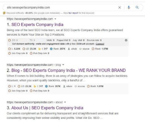 SEO Experts Company India