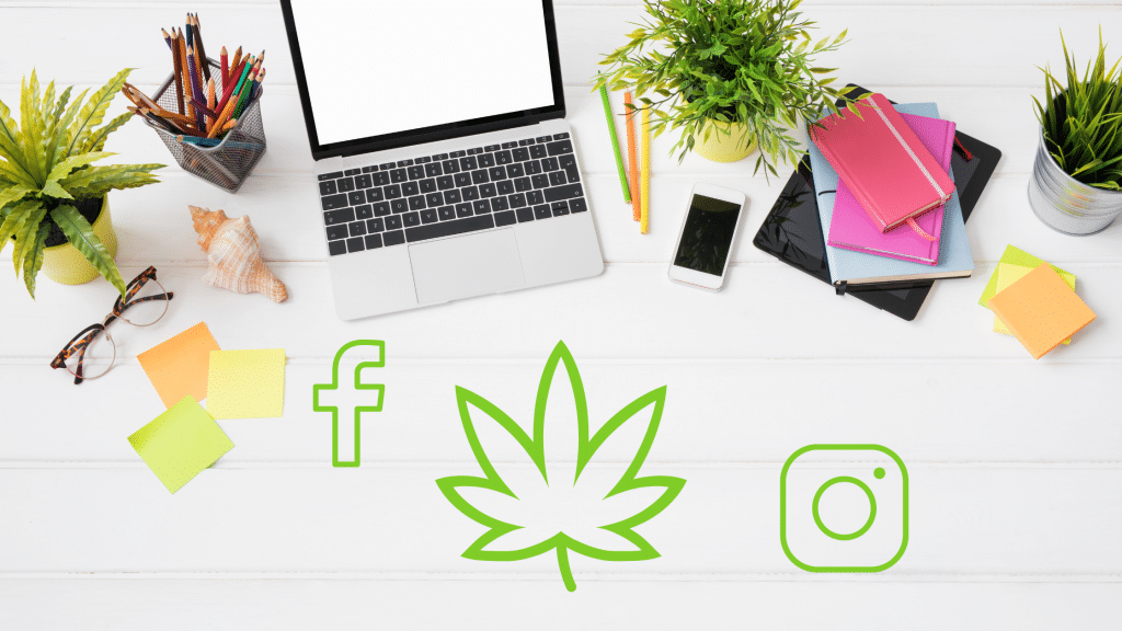 Cannabis Dispensary – Importance and Tips for Social Media Marketing
