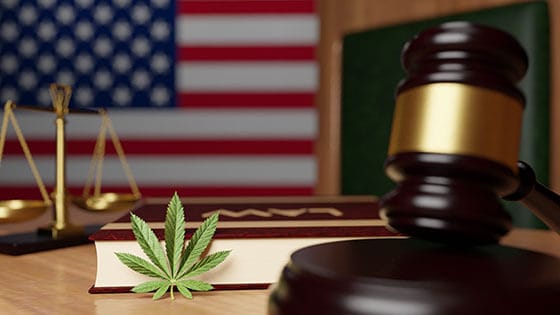 Need and way to get a license for CBD in the various states of the US- part 2